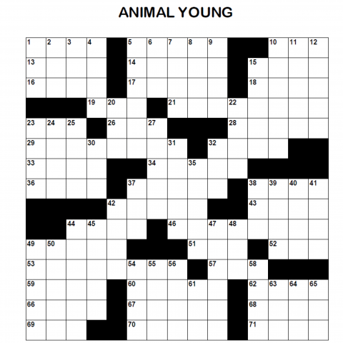 Adult Crossword - Animal Young